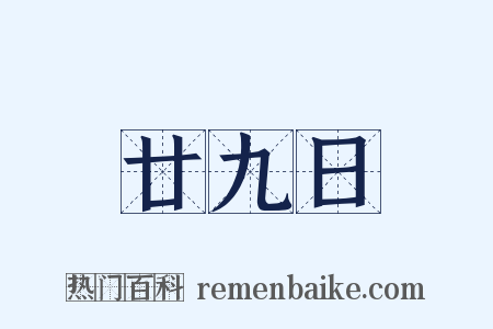 廿九日是什么意思的图片